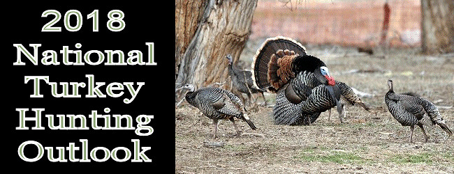 National Turkey Hunting Outlook for 2018