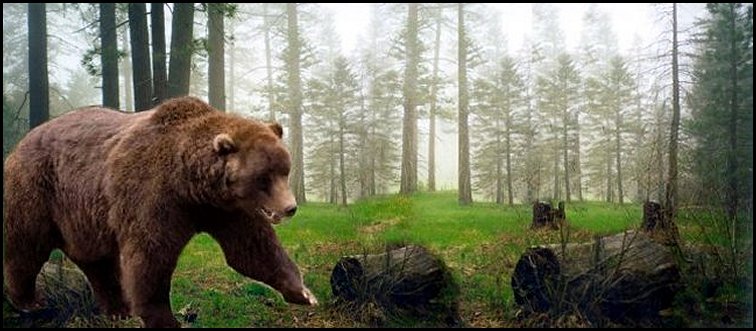 Alaska Bear Hunting Regulation Changes Are NOT Extreme