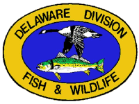 Delaware Emergency Order Places Restrictions on Surf Fishing and Out of State Visitors 