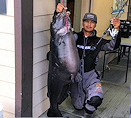 CA angler with Record Breaking Blue Catfish