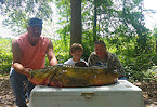 Florida record flathead catfish