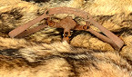 California Enacts Ban on Fur Trapping and Shed Antler Sales