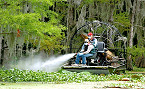 TPWD Finds Invasive Giant Salvinia at Lake Nacogdoches