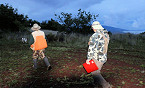 Hawaii Hunters & Researchers Count Game Bird Populations Before Season Opens
