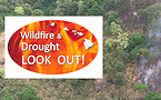 Hawaii wildfire, drought awareness Program