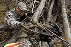 crossbow hunting