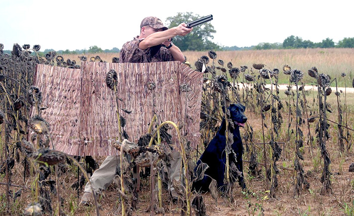 Hunter in field blind