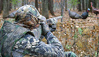 New Hampshire 2017 Spring Turkey Hunting Opens May 3