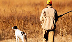 Montana Implements New Permitting Process for Training Dogs in the Open Field