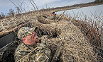 Illinois Proposed Changes to Waterfowl Blind Construction