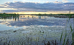 Iowa Restricts Hunting at Otter Creek Marsh WA Refuge to Non-Waterfowl Species
