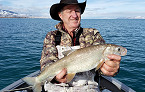 Idaho Angler Catches State-Record Whitefish from Bear Lake