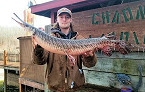 Missouri Angler Catches World Record-Sized Spotted Gar