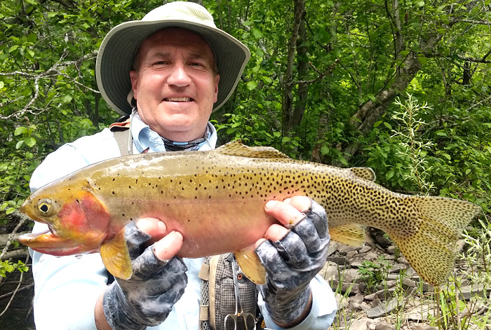 Idaho Angler Lands New Catch-and-Release Record Cutthroat Trout