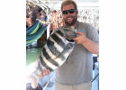 New Maryland State Fishing Record Set for Sheepshead