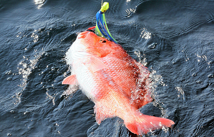 Alabama Private Anglers To Get One More Opportunity at Red Snapper
