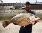 Joshua Cole state record freshwater drum
