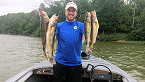 Kentucky Fast-Growing Saugeye Offer Anglers Another Option