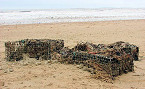 New Hampshire Coastal Lobster Trap Cleanup April 29