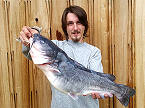 Maryland Angler Catches Record White Catfish in Lower Potomac River