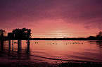 Maryland waterfowl hunting