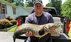 Maryland Angler Catches Record Snakehead in Charles County