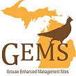 Plan Your Michigan Grouse and Woodcock Hunt with Gems