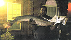 Mississippi Angler Catches New State and World Record Longnose Gar 