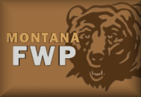 Montana Temporarily Suspends 2020 Spring Turkey/Black Bear Hunting to Non-Residents 