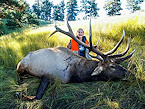 Nebraska young hunter bags record elk
