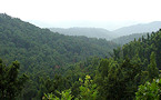 OH Shawnee State Forest