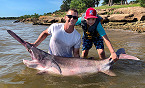 Oklahoma 2020 Paddlefish Fishing Gets Underway with a New Record