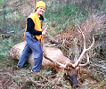 OK New Record Typical Elk for Cy Curtis Awards Program - Taken by Young Female Archer