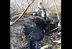 Pennsylvania Bowhunter Shoots 740-Pound Black Bear at 7 Yards 