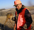Wisconsin 2017 Ring-Necked Pheasant Season Opens Oct 14