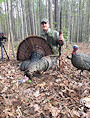 Record 7-beard wild turkey
