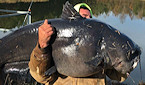 Riahn Brewington with 112lb blue catfish