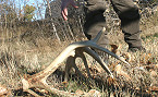 Wyoming Time Changes for Opening of 2020 Habitat Areas and Antler Hunting