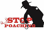 stop poaching