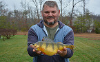 Tennessee Angler Catches Possible New State Record Perch 