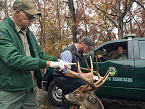TN Man Shoots Illegal Deer