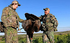 Minnesota 2020 Spring Turkey Hunting Season Opens April 15