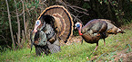 Oklahoma 2018 Fall Turkey Gun Season Opens Nov 3