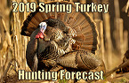 State-by-State 2019 Spring Turkey Hunting Forecast