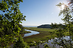 Virginia New Ware Creek WMA