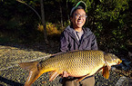VA-bowfishing-state-record-carp
