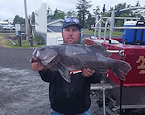 WA new state record black rockfish