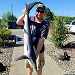 Angler from AZ Lands New Washington State Record Blue Shark