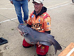 WV record blue catfish