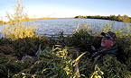 waterfowl hunter in blind